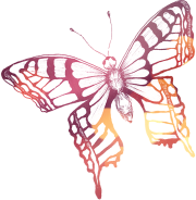 PIF-sommerfulgl-farve-drejet